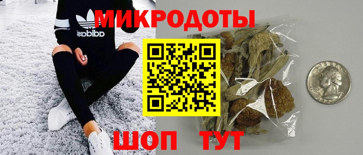 Галлюциногенные грибы Psilocybine cubensis Казань